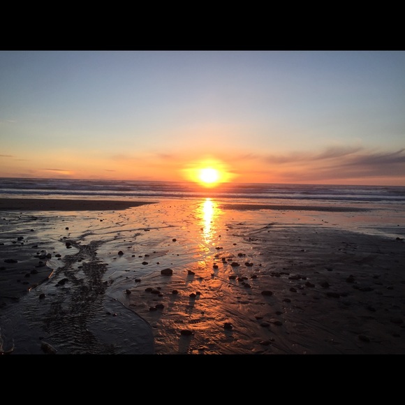 Meet your Posher, Sky - Picture 3 of 6